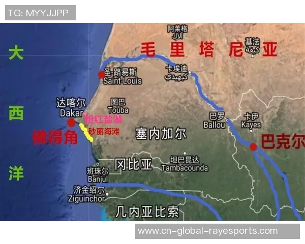 塞内加尔与埃尔及利亚激战比分揭晓双方实力对比分析